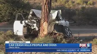 Car Crash Kills 3 People, 2 Dogs In Chula Vista