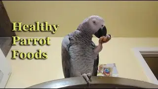 Eat your veggies and fruit... [Healthy Parrot Foods]