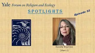 Spotlights ~ Ep. 32, Sandy Bigtree (part 1), Indigenous Values Initiative