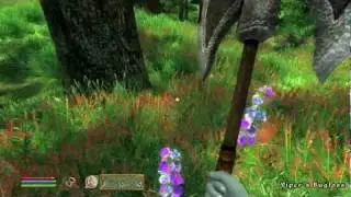 Oblivion maxed out + quarl texture pack 3 + natural enviroments