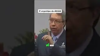 Arquétipo da águia 🦅🦅