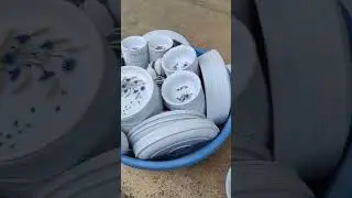 fibre plate dinner set