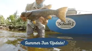 Summer Fun Update