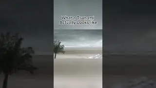 What a Tsunami Actually Looks Like🔥 #fyp #tsunami #hawaii
