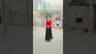 Sjini