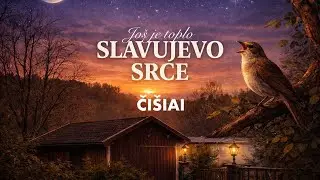 ČI&Scaron;IAI - Slavujevo srce