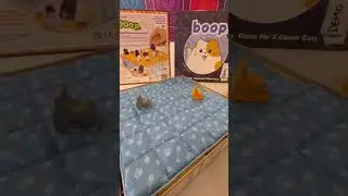 BOOoop.: Chess-like Kittens, but Spooky!