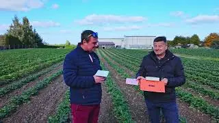 Nowoczesne narzędzia do monitoringu kwieciaka malinowca