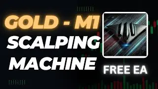 Scalping Machine EA Optimization on 1 Minute Timeframe | TradingBotLab