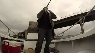 Bluefish slams diamond jig Smith Point bridge NY