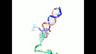 DNA displacement reaction for nanotechnology