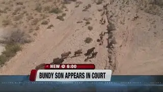 Bundy in court