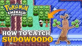 How To Catch Sudowoodo In Pokemon Emerald | Sudowoodo Location