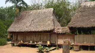 Tambopata Jungle 3days - Rainforest Expeditions