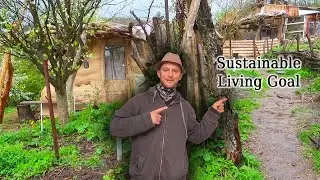Simple Living and Permaculture Garden in Romania's Countryside