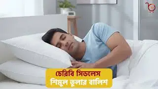 Premium Pillow &ndash; Affordable Price