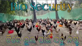 Bio Security @ Poultry. ଇନଫେକ୍ସନ କେଉଁ ମାଧ୍ୟମରେ ଫାର୍ମ କୁ ଆସିଥାଏ l 