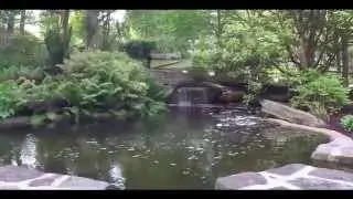 Walkthrough of 5 Senses Garden