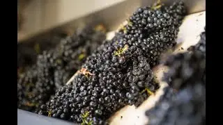 Napa Valley Sessions: Napa Valley - A History of Winemaking