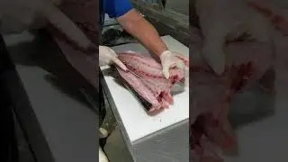 Cobia (fillet step by step)