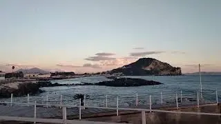 Miliscola 11/1/26