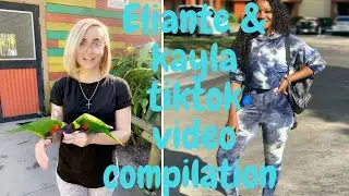Eliante Matelier &kayla Taylor tiktok video compilation