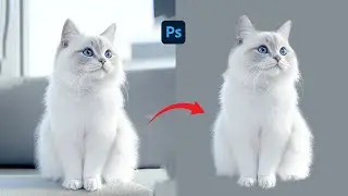 The best way to select FUR in photoshop - hair selection