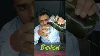 make biodisel with grass #shotrs