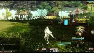 ArcheAge  How to Level up Fast ► Fast Leveling Using Labor Points