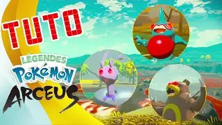 Barons Ursaring, Colimucus & Coatox - Tuto Legends Arceus EP10