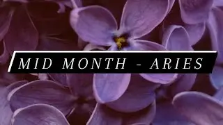 Aries - Mid Month- You Will Manifest This Person ✨