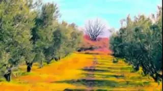 Coeur de Soleil - Baron Eraser