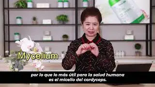 🔥C&oacute;mo Usar el Cordyceps de Tiens: M&eacute;todos Tradicionales y Modernos para Potenciar tu Salud 🌿💪🔥