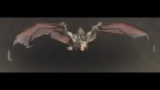 Broken Isles Safari: Hog-Nosed Bat Battle Pet, Highmountain, WoW Retail