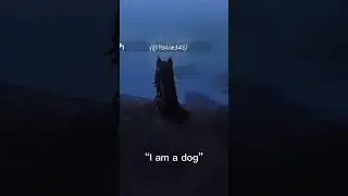 I want to be a dog not a cat!