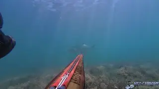 Spearfishing Passion- Neo Carbone - 