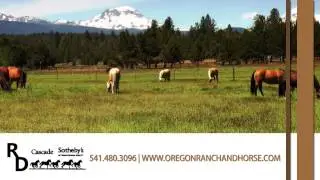 Ron Davis - Cascade - Sotheby's International Realty | Land in Oregon