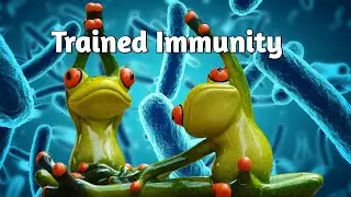Trained Immunity