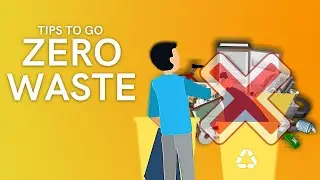 Follow These Tips to Go Zero Waste (A Healthy Life is Waste-free Life)