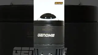 Introducing #genome Dual Colour 2