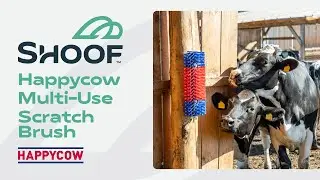 Happycow Multi-Use Scratch Brush