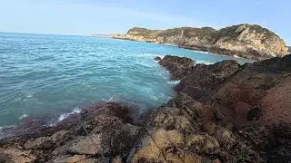 輕裝磯釣-東引沉礁-石鯛 班頭 烏魚 黑毛 臭肚 石狗🐶