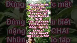 ƠN NGHĨA SINH TH&Agrave;NH onnghiasinhthanh #chame #benguyen