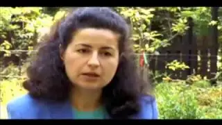 Moringa - The Miracle Tree - Discovery Channel documentary