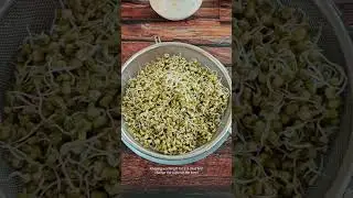 Moong Sprout Salad, Sprout Salad Recipe, How to make sprouts at home
