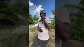 This Guyanese Brother has a message for Africans in Africa 😎 #africa #guyana #message #unity