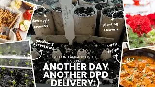 AI DIET CRUMBLE, DPD DELIVERY & CURRY THE EASY WAY🍛📦 | YOU WON&rsquo;T BELIEVE THIS!