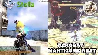 Acrobat Gameplay Manticore Nest Final Stage Dragon Nest Mobile Classic