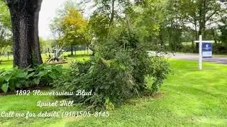 1892 Flowersview Blvd  Laurel Hill Call me for details 916505 8145 1