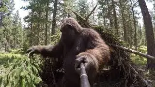 Bigfoot Builds War Bunker in Deep Woods